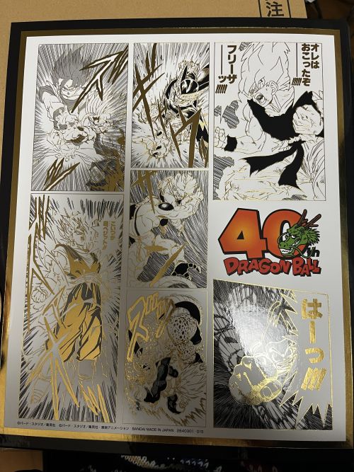 バインダーの裏側