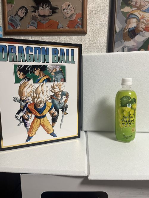 ペットボトルとバインダーの比較